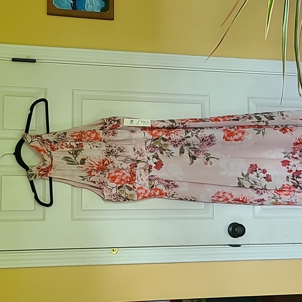 NWT Eliza J Floral Maxi Dress
